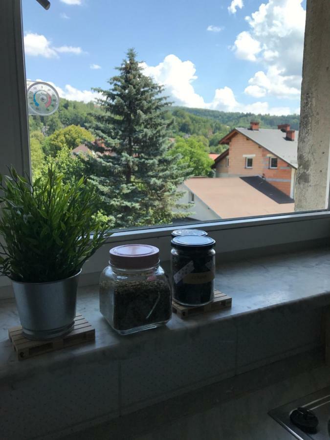 Apartament Przy Rynku Wisła Eksteriør billede
