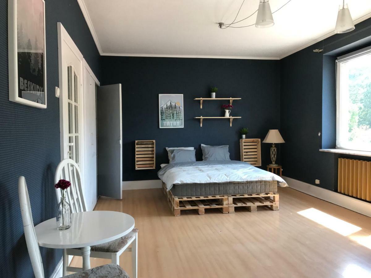 Apartament Przy Rynku Wisła Eksteriør billede